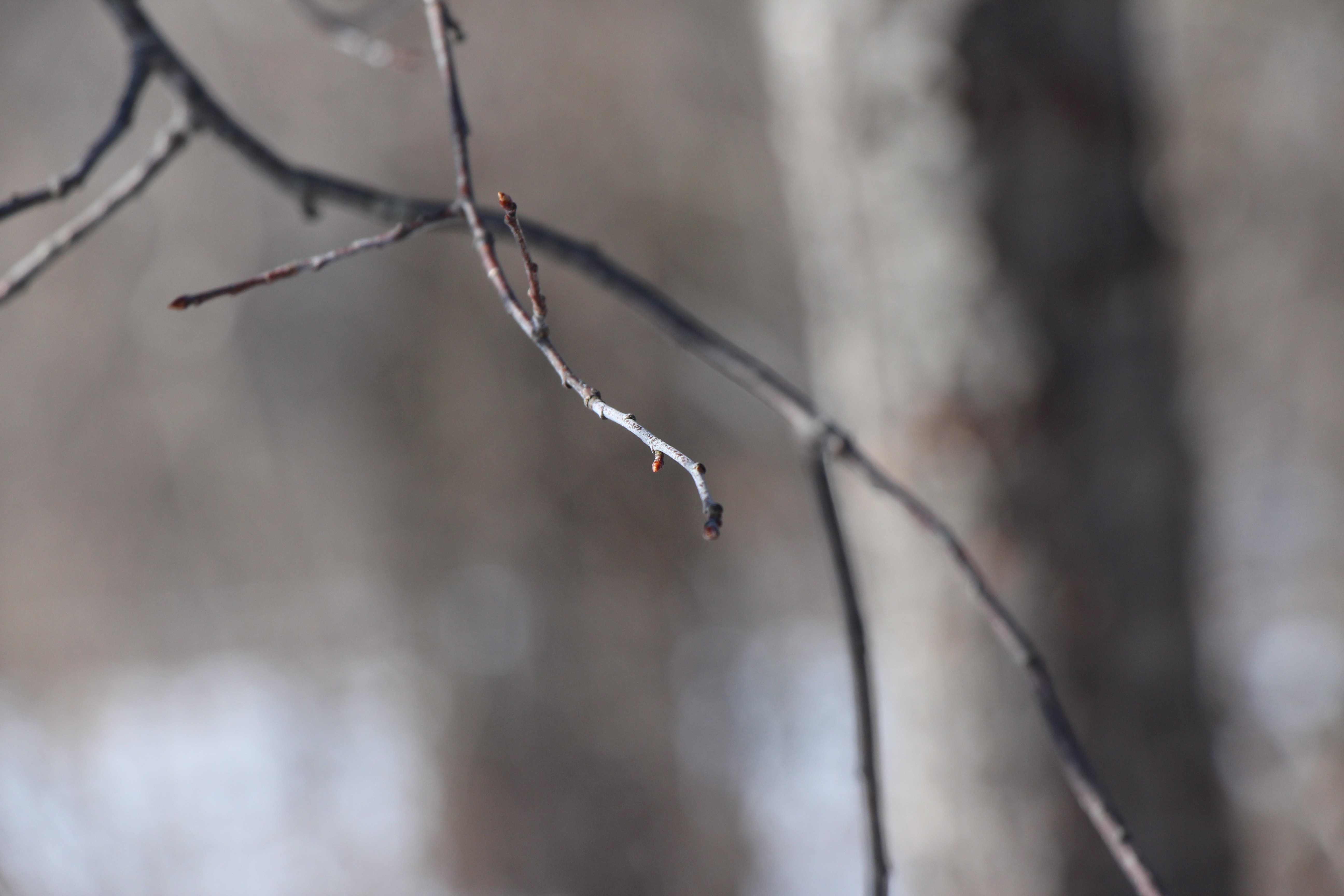 Taken January 26, 2013